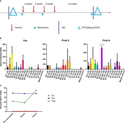 Expansion of Human Papillomavirus-Specific T Cells in Periphery and Cervix in a Therapeutic Vaccine Recipient Whose Cervical High-Grade Squamous Intraepithelial Lesion Regressed